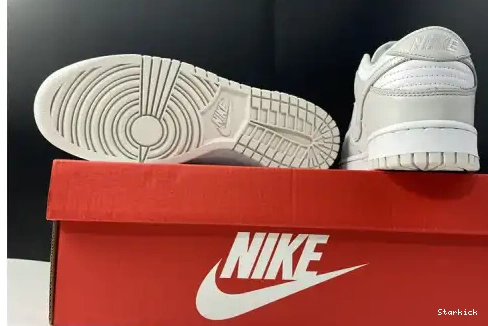 Dust" Dunk "Photon Nike Low DD1503-103 0622